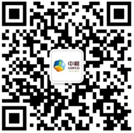 dingyue_shipin