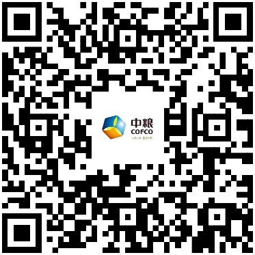 zhihu